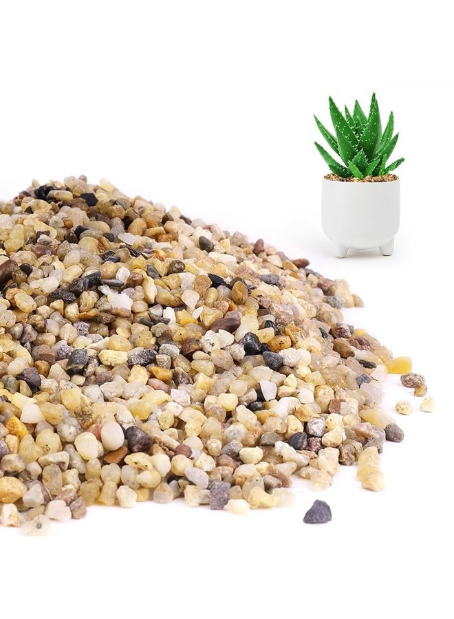 Natural Coarse Sand 1900g,Rocks for Plants,Decorative Stones,Aquarium Sand, Sand Bag, COLORING, PETS, Aquarium FILERATION, PURIFICATION, LANDSCAPING, INDOOR & OUTDOOR - Image 1
